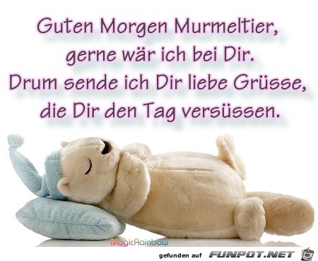 Murmeltier Murmeltier