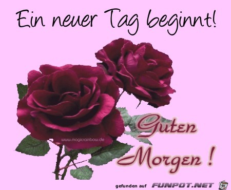 Guten Morgen Guten Morgen