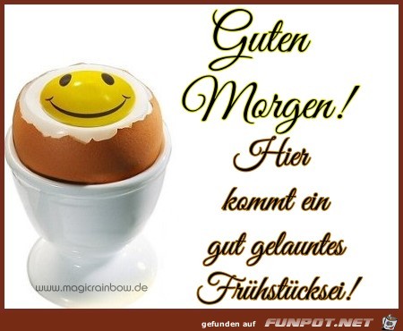 Guten Morgen