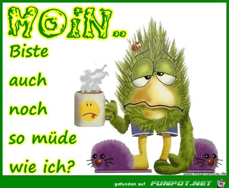 Moin Moin