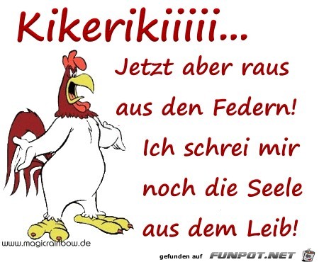 Kikerikiiiii.. Kikerikiiiii..