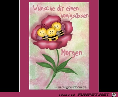 Guten Morgen Guten Morgen