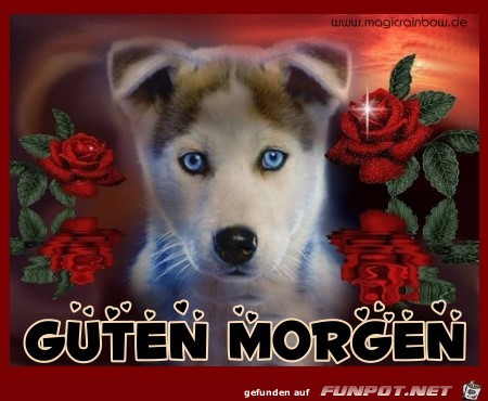 Guten Morgen Guten Morgen