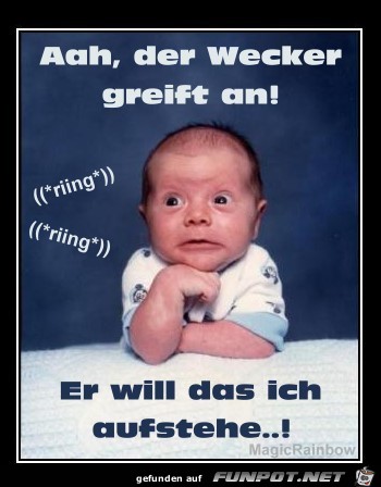 Guten Morgen Guten Morgen