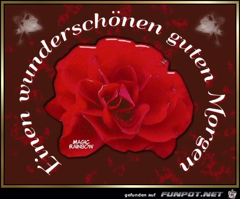 Guten Morgen Guten Morgen