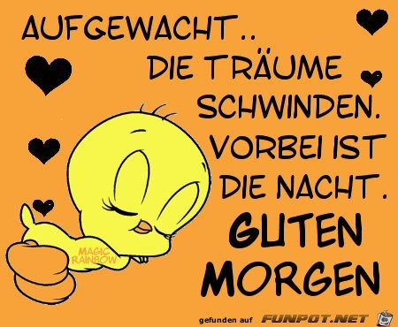 Guten Morgen