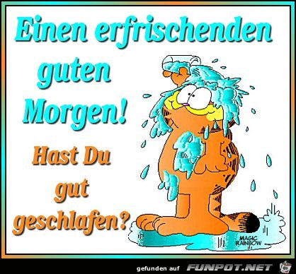 Guten Morgen