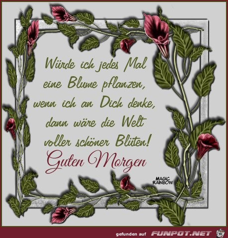 Guten Morgen Guten Morgen