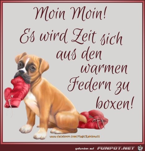 Moin Moin Moin Moin