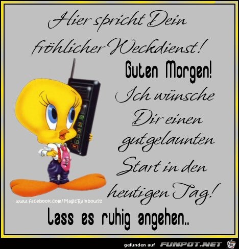 Guten Morgen