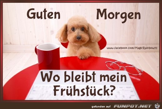 Guten Morgen