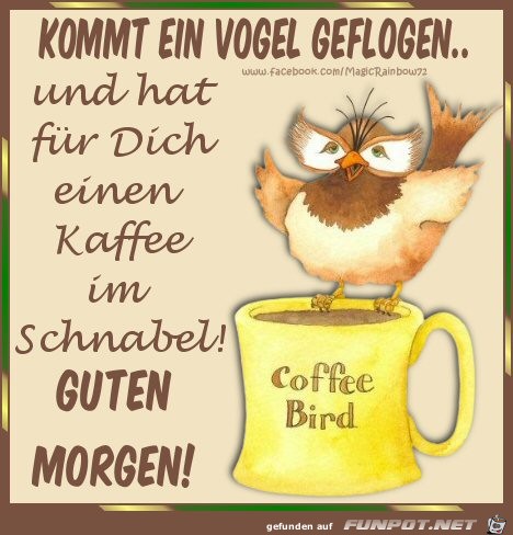 Guten Morgen