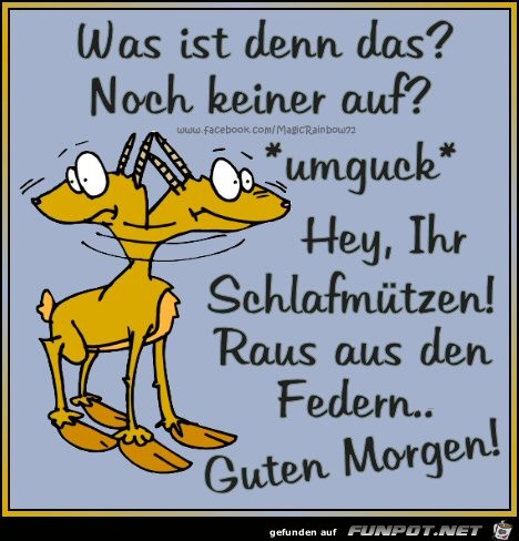 Guten Morgen Schlafmützen Guten Morgen Schlafmützen