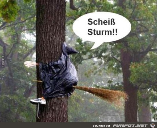 Scheiss Sturm....