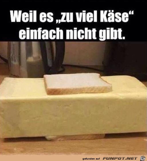 Käse Käse
