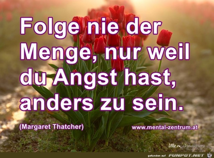 Folge nie der Menge Folge nie der Menge