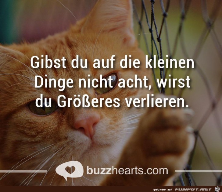 Gibst du auf kleinen Dingen nicht acht Gibst du auf kleinen Dingen nicht acht