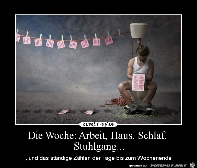 Die Woche Die Woche