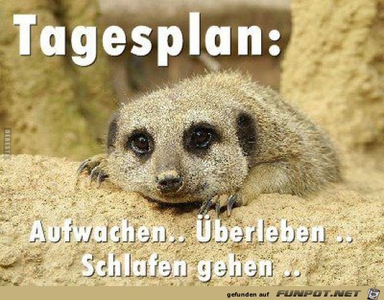 Tageplan..