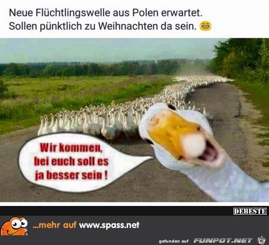 Flüchtlingswelle.. Flüchtlingswelle..