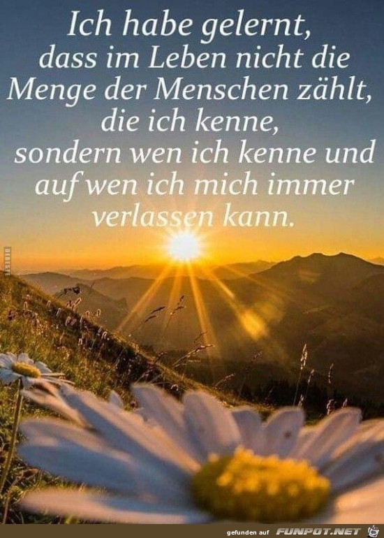 ich habe gelernt... ich habe gelernt...