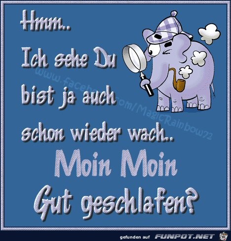 Moin Moin Moin Moin