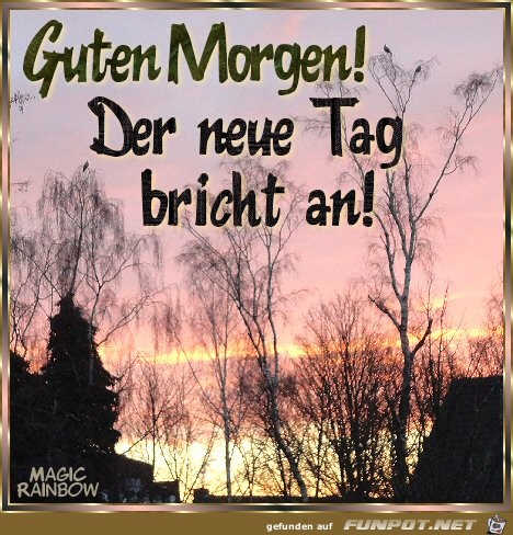 Guten Morgen