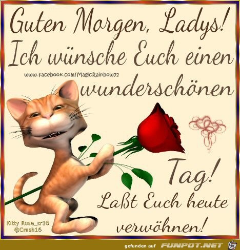 Guten Morgen Ladys