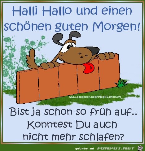 Guten Morgen Guten Morgen