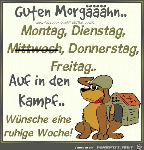 Guten Morgen - Mittwoch