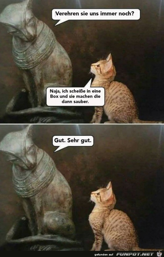 Katzen