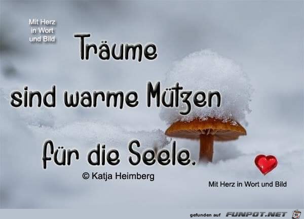Träume sind warme Mützen Träume sind warme Mützen
