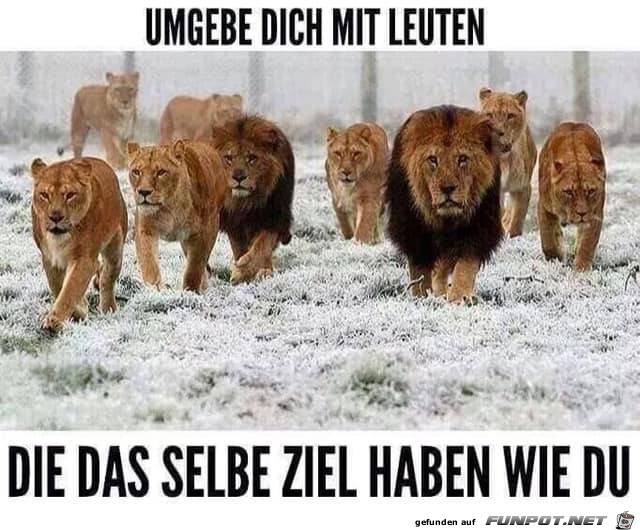 umgebe dich mit leuten umgebe dich mit leuten