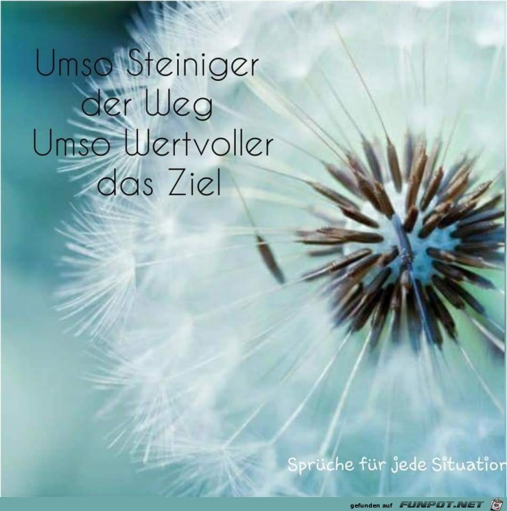 umso steiniger umso steiniger