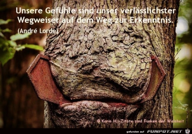 unsere gefühle sind unser unsere gefühle sind unser