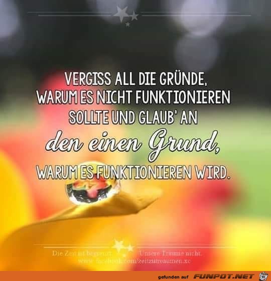 vergiss al die gründe vergiss al die gründe