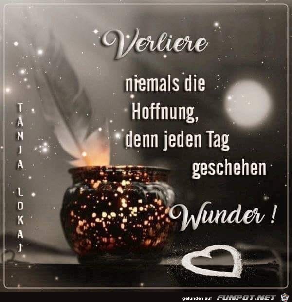 verliere niemals die hoffnung verliere niemals die hoffnung