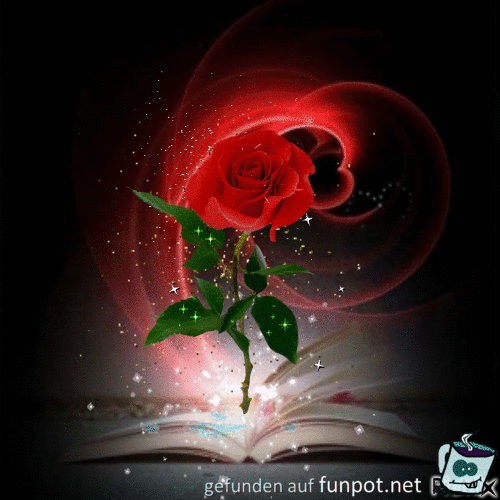 Rose Rose