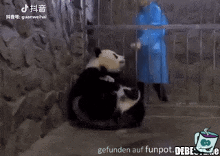 Pandamutter mit Kind