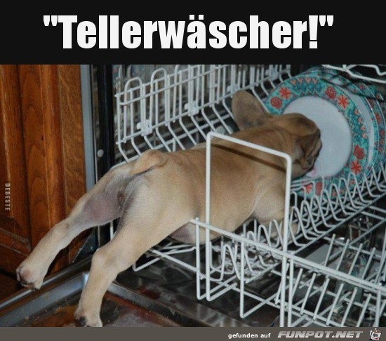 Tellerwscher..