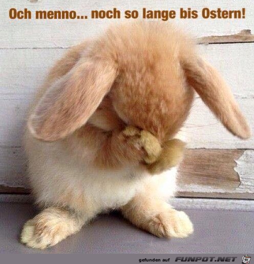 Ostern Ostern