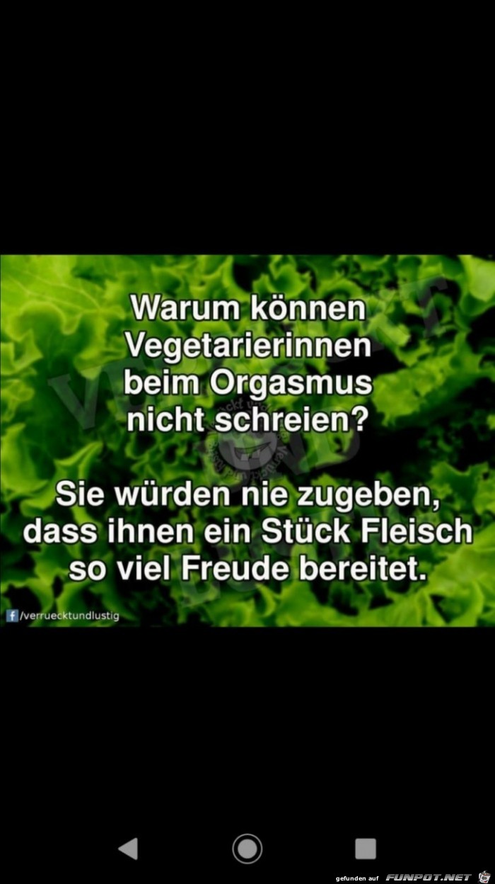 Vegetarier Vegetarier