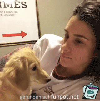 Gefangen Gefangen