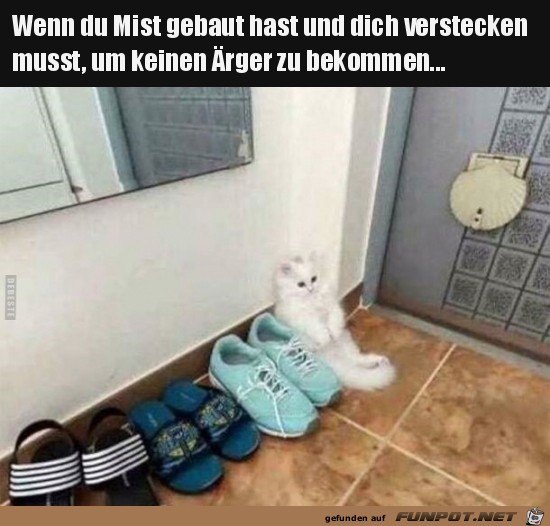Mist gebaut Mist gebaut