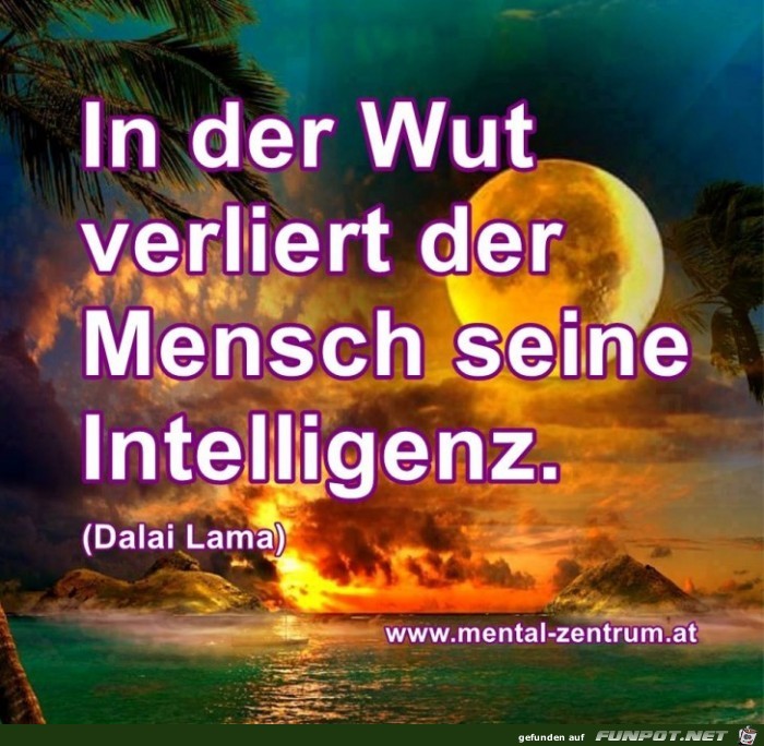 In der Wut In der Wut