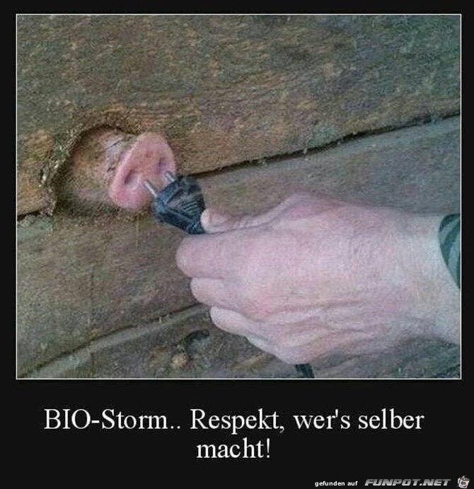 Bio-Strom Bio-Strom