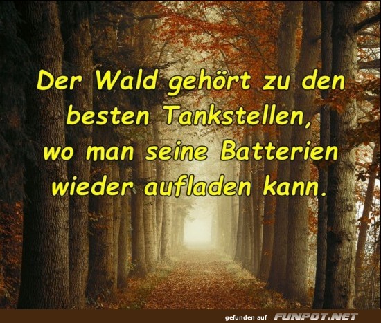 10 schne Sprche und Lebensweisheiten aus...