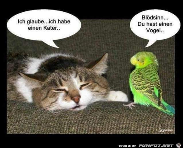 ich glaube ich glaube