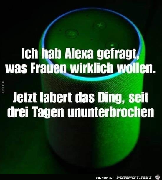 ich hab Alexa gefragt