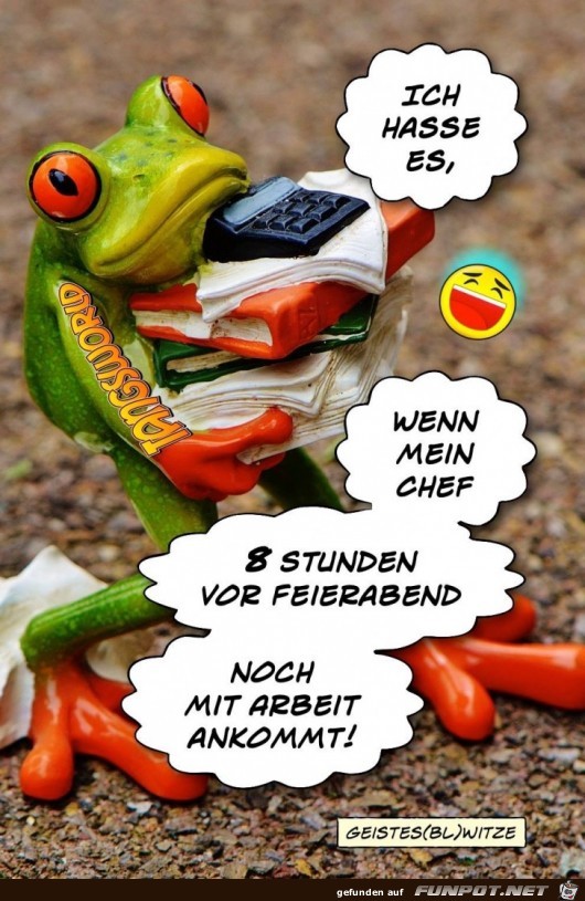 ich hasse es ich hasse es